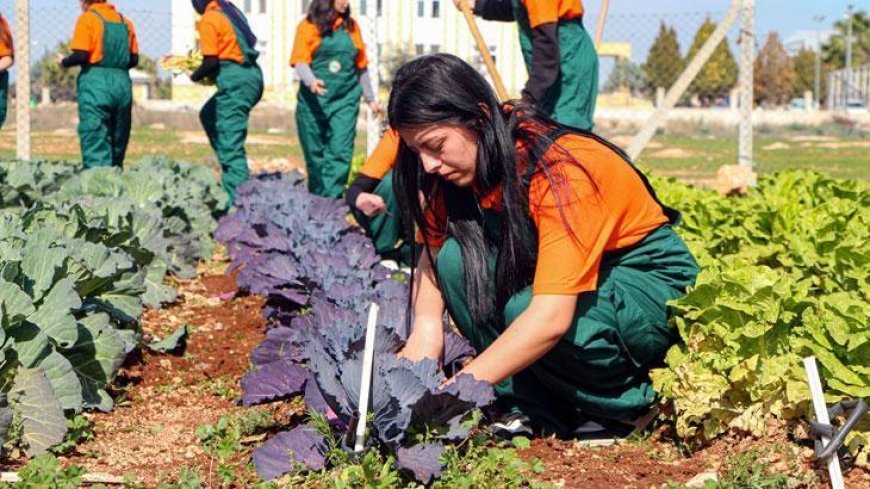 Çukurova’da geleceğin ziraatçileri tarım lisesinde yetişiyor