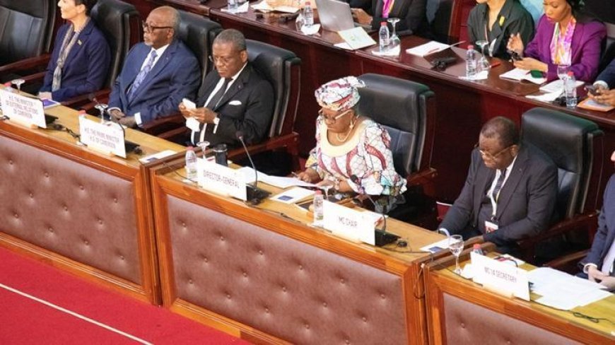 Dünya Ticaret Örgütü uyardı! 'Dünya düzeni geri dönülmez biçimde değişti'