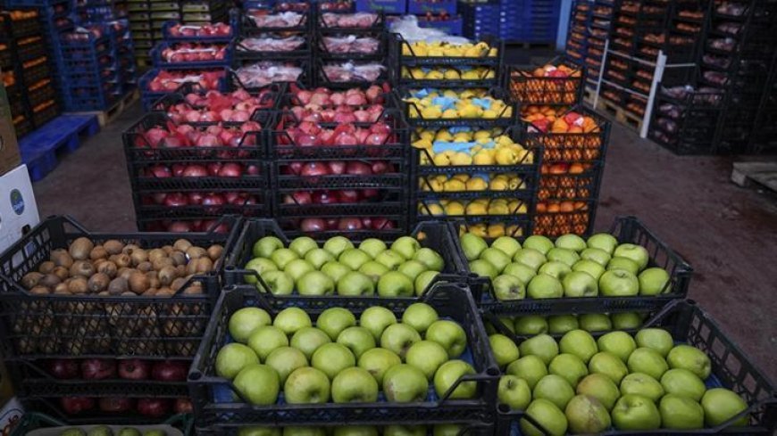 Ticaret Bakanlığı'ndan meyve ve sebze hallerine sıkı denetim
