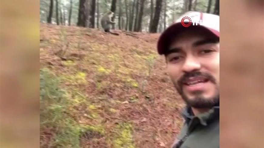 Ormanda mantar ararken hayatının sürpriziyle karşılaştı! Herkesi peşine taktı