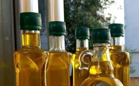 'Şarköy zeytinyağı' coğrafi işaret aldı