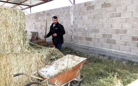 80 bin TL'ye çalışacak eleman bulunamıyor: 'Yeme, içme, sigorta bize ait'