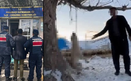 Kayseri'de akılalmaz görüntü! 'Böyle köpek mi öldürülür?'