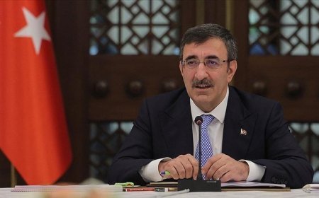 Cumhurbaşkanı Yardımcısı Yılmaz, enflasyon rakamlarını değerlendirdi