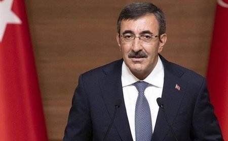 Cumhurbaşkanı Yardımcısı Yılmaz'dan 'Güvenli Liman Türkiye' paylaşımı