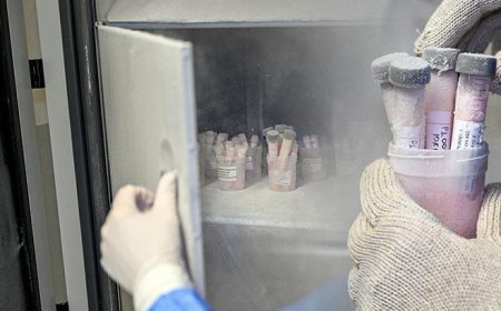 Türkiye'de bir ilk! 5 yıl saklanıyor: Ölenlerin sırt ve bacaklarından alınıyor: Belli olmuyor bile, o kadar çok hayat kurtarıyor