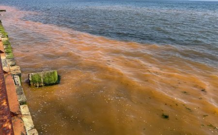 Tekirdağ'da şaşırtan görüntü: Deniz turuncuya döndü