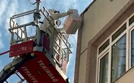 Oğul veren bal arıları nedeniyle yaya ve araç trafiği durdu