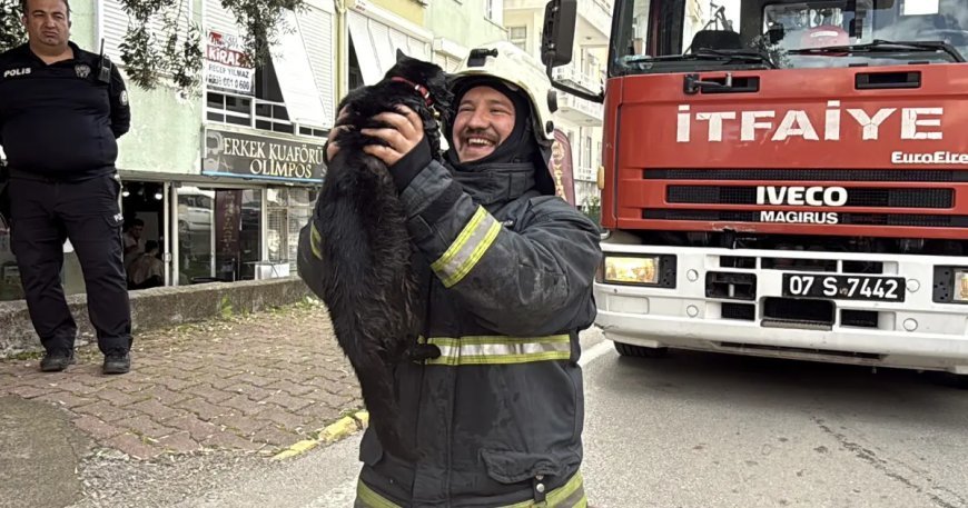 İtfaiye eri kalp masajıyla kediyi yaşama bağladı