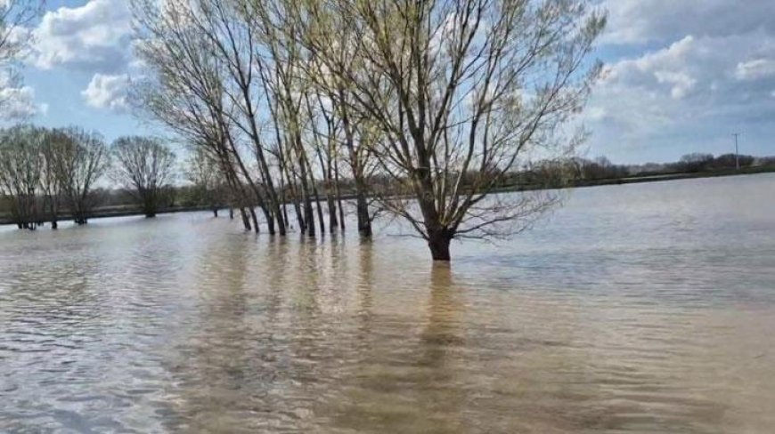 Edirne’de şiddetli yağmur: Meriç Nehri taştı, sular yollara ulaştı