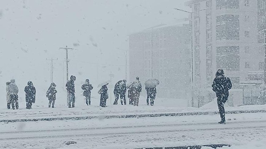 Kentte lapa lapa kar şaşkınlığı! 2 gündür yağıyor... 84 yerleşim yeri ulaşıma kapandı