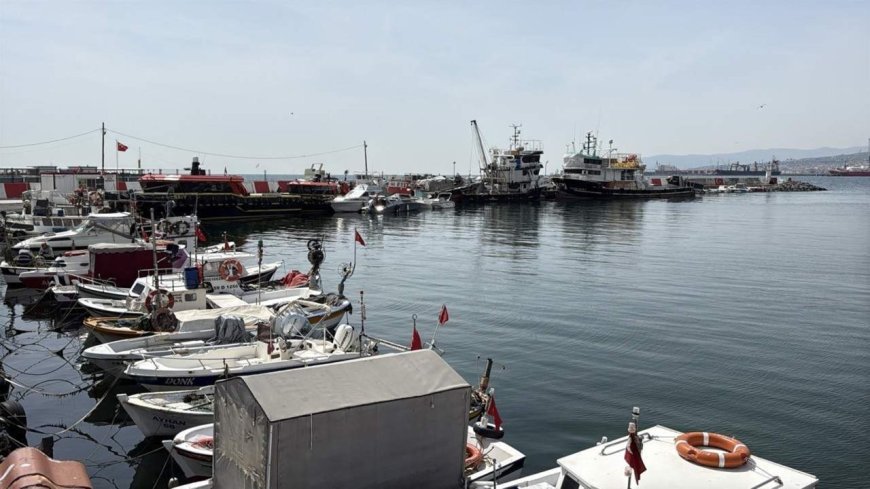 Tekirdağ'da balıkçılar, sezondan memnun