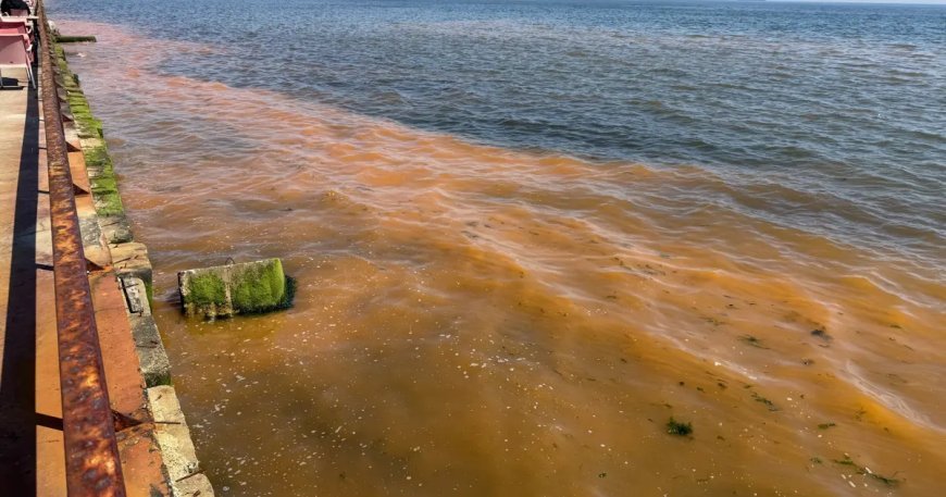 Tekirdağ'da şaşırtan görüntü: Deniz turuncuya döndü