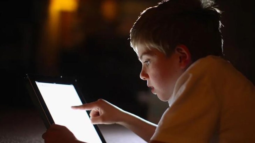 Sosyal medyada şiddet nasıl fonlanıyor? Dijital reklama harcanan tutar: 200 milyar TL