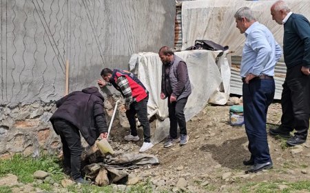 3 metrelik yılan mahalleyi korkuttu: Belediye ekipleri müdahale etti