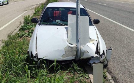 Yön tabelasına çarpan otomobilde sürücü ile eşi yaralandı