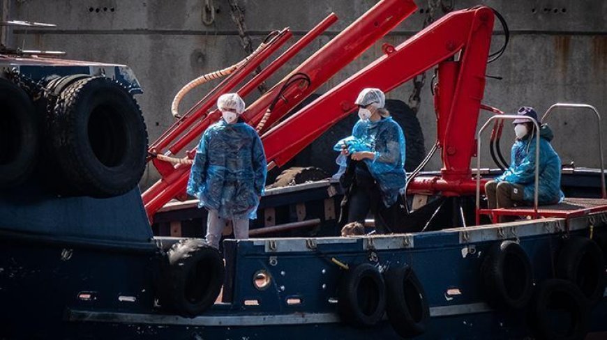 'Hantavirüs' gemisinde son durum! 'Eşi benzeri görülmemiş operasyon'