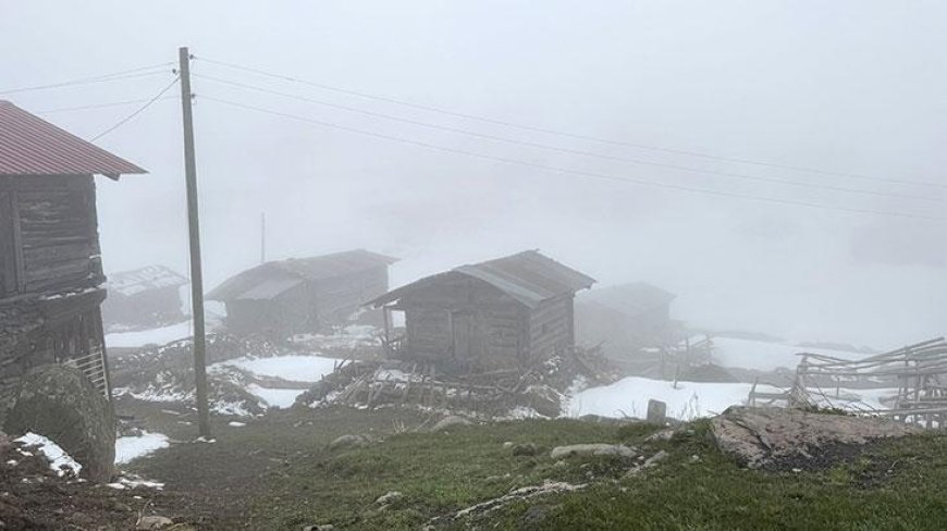Ardahan'ın yüksek kesimlerinde kar etkili oldu
