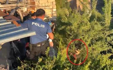 Dere yatağına düşerek ağaçta asılı kaldı! Tedaviyi reddedip hastaneden kaçınca ortalık karıştı