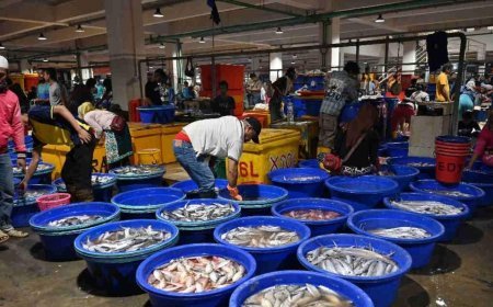 Önce domates ve çilekti, şimdi sıra balığa geldi! Ermenistan'a yeni 'durdurma' kararı