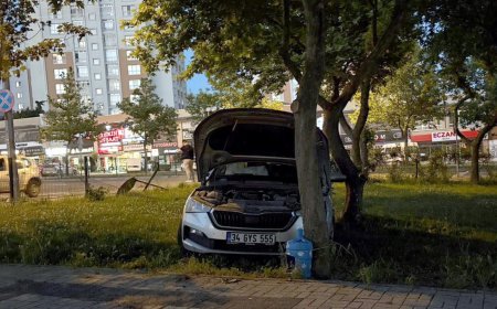 Sürücüsünün kontrolünü kaybettiği otomobil parka girdi