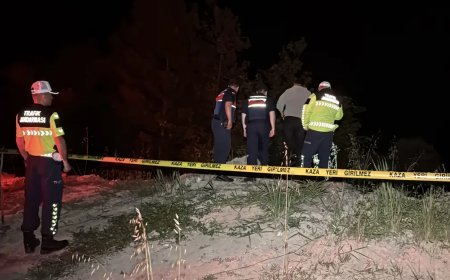 Filyos Çayı'na düşen CHP yöneticisi için arama başlatıldı
