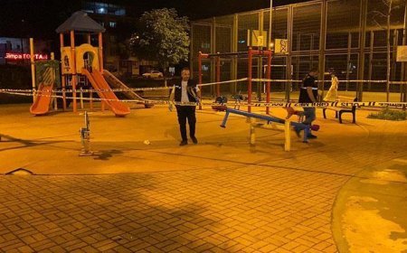 Bursa'da çocuk parkına saçma yağmıştı! 6'sı çocuk 10 kişinin yaralandığı olayda 1 tutuklama