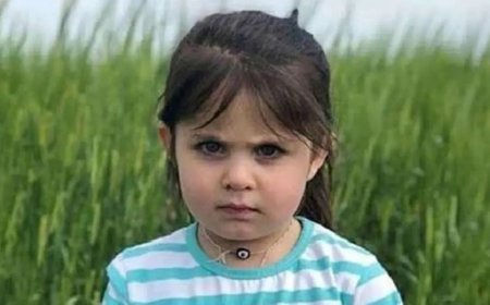 Leyla Aydemir davasında yeni gelişme