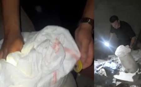 Aile apartmanı olarak kamufle oldular: Peçeteye sarıp yutuyoruz