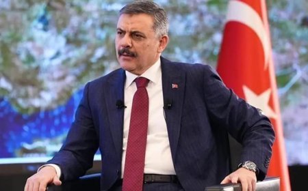 Bakan Çiftçi: Sahipsiz sokak hayvanlarının yüzde 83'ü toplandı