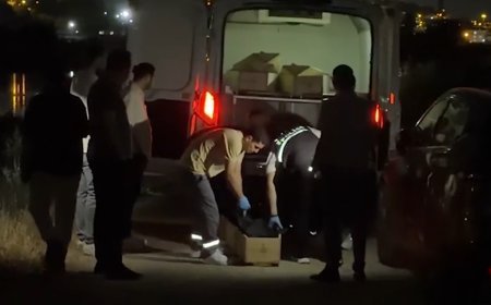 Başına taşla vurularak katledildi