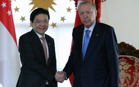 Cumhurbaşkanı Erdoğan, Singapur Başbakanı Wong'u kabul etti