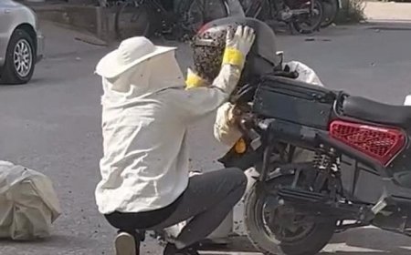 Motosikleti görenler gözlerine inanamadı! Yolun ortasında arıların istilasına uğradı